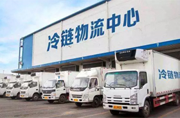 政策福利！冷鏈物流企業(yè)最高可領(lǐng)500萬(wàn)元補(bǔ)貼