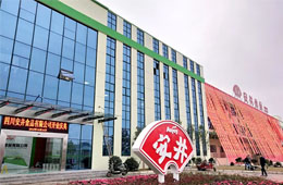 安井只是賣丸子的？不，它已成速凍品類“三劍客