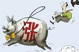 豬肉供應(yīng)量斷崖式下跌，肉價將開啟全面大漲