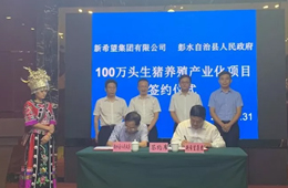 新希望六和落子渝豫甘，生豬規(guī)模再增200萬(wàn)頭！