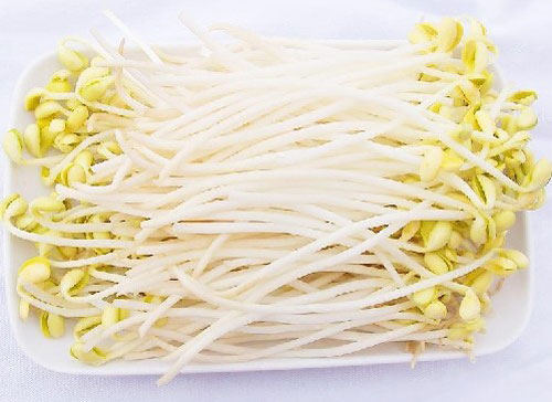 視頻 | 只知道大張超市厲害，沒想到它的豆芽工廠也這么牛