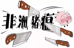 官宣 | 農(nóng)業(yè)農(nóng)村部：28省非瘟疫區(qū)解除封鎖，“豬荒”年底前有望緩解