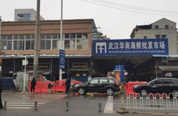 武漢華南海鮮市場(chǎng)元旦起休市，恢復(fù)營(yíng)業(yè)時(shí)間未定
