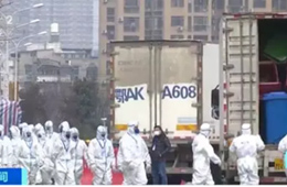 武漢華南海鮮市場完成大規(guī)模消殺；牛蛙、烏龜不列入禁食范圍