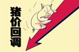  農業(yè)農村部：豬肉價格連8周回落，高峰或在9月前后出現