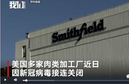史密斯菲爾德、泰森等國外肉類巨頭停工，或引發(fā)全球“肉慌”？