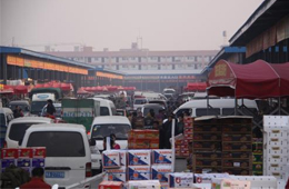 追蹤 | 冷庫停業(yè)，旺季將至，急壞凍品人！怎么辦？